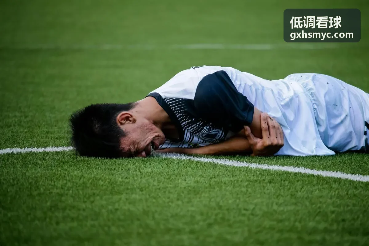 低调看球篮球直播专区